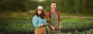 Renovação geracional do setor agrícola