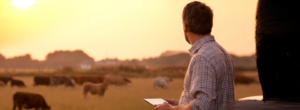 Apoios aos Jovens Agricultores – Perguntas Frequentes