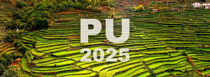 Pedido Único 2025