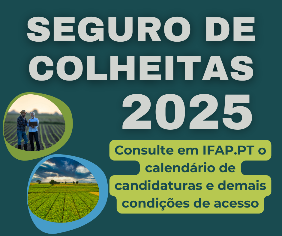 seguros 2025