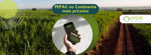 PEPAC no Continente mais próximo: Canais oficiais de atendimento para apoio aos beneficiários e consultores