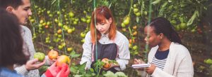 Candidaturas abertas ao acompanhamento técnico especializado à instalação dos jovens agricultores PEPAC no Continente