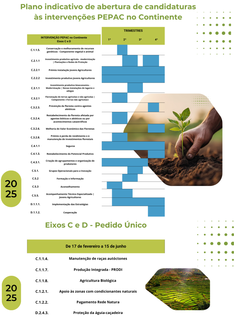 Plano Anual de Candidaturas
