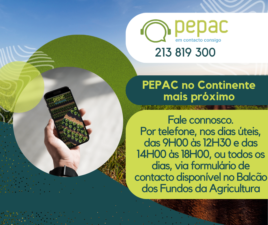 Reforco de divulgacao dos nossos canais