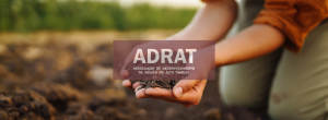 Primeiro concurso LEADER: GAL ADRAT