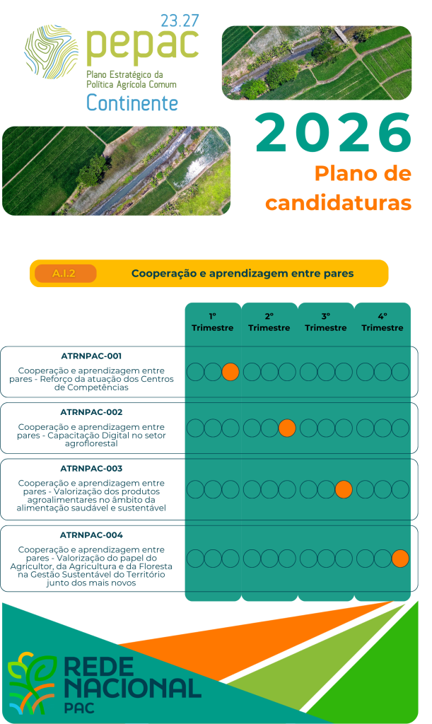 Rede Nacional PAC Plano 2026VF