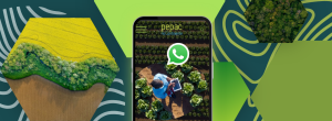 O PEPAC no Continente chegou ao WhatsApp