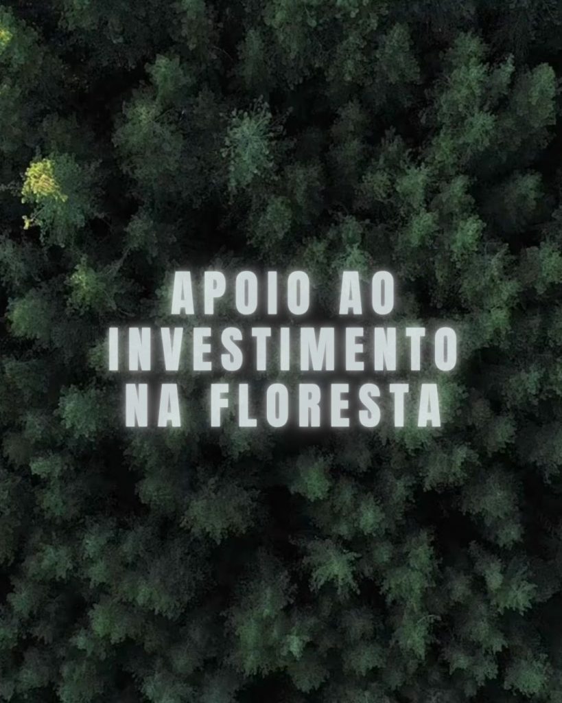 ABERTURA FLORESTAS 325326 324 Post para Instagram 45